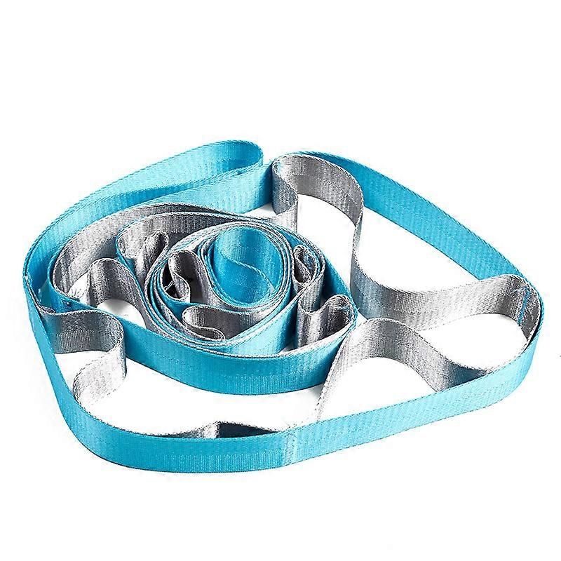 Yoga Straps Stretching Strap with 12 Loops Workout Poster Long Stretch Out Bands compatible with Stretching Physical Therapy Equipment - Blue - Image 1