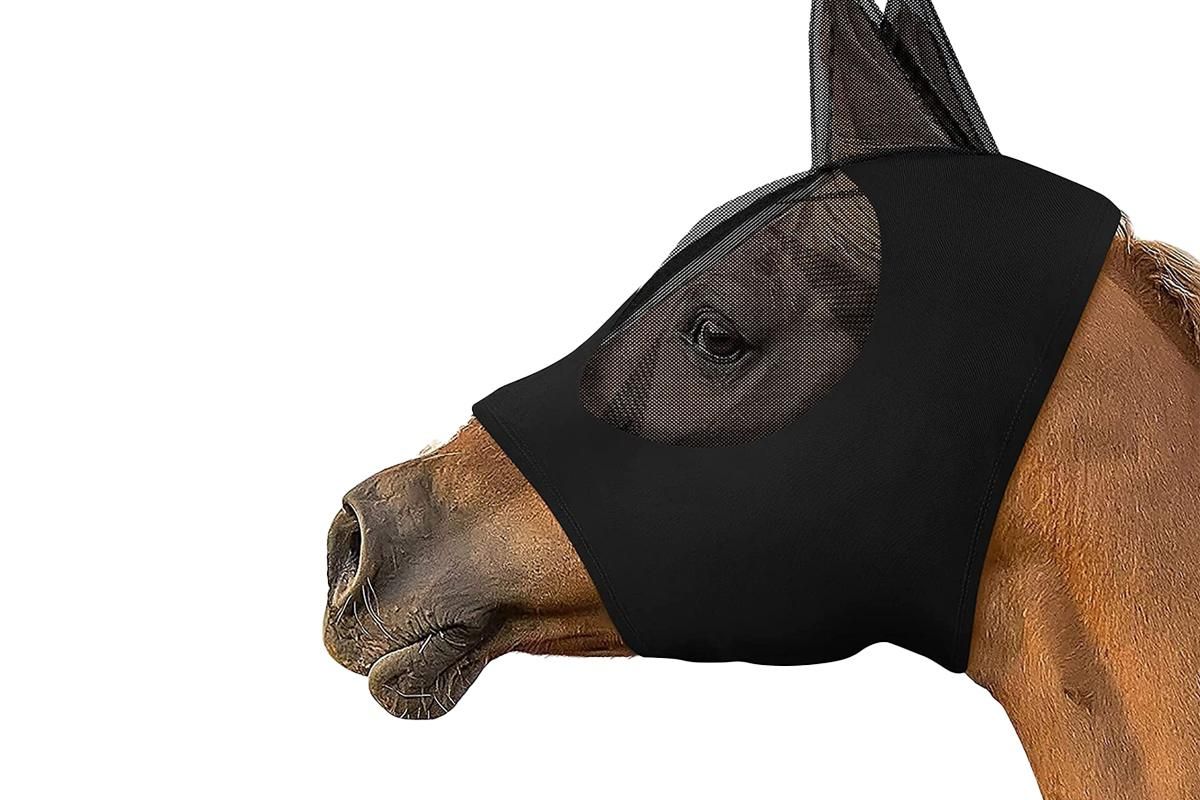 Horse Fly Mask with Ears -Black - Image 1