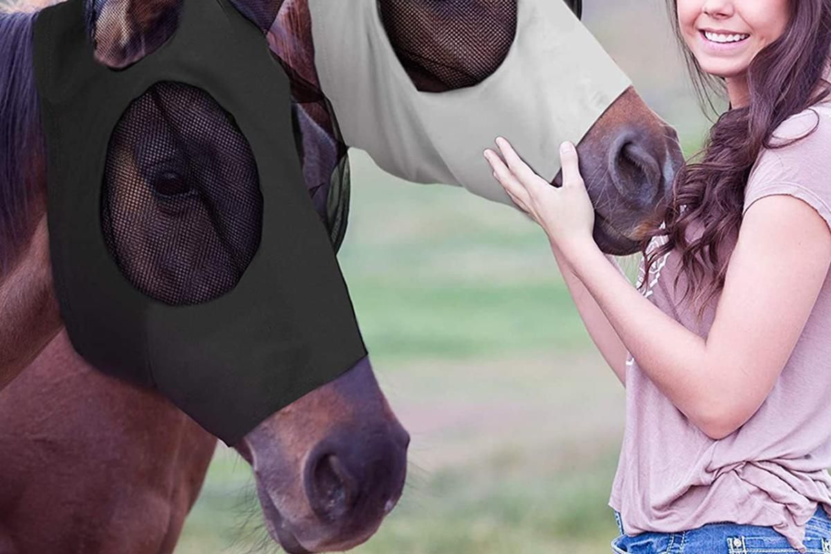 Horse Fly Mask with Ears -Black - Image 2