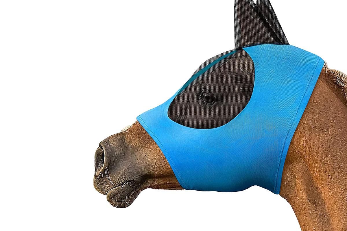 Horse Fly Mask with Ears -Blue - Image 1