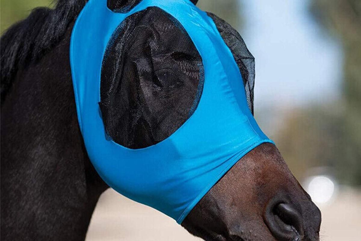 Horse Fly Mask with Ears -Blue - Image 2