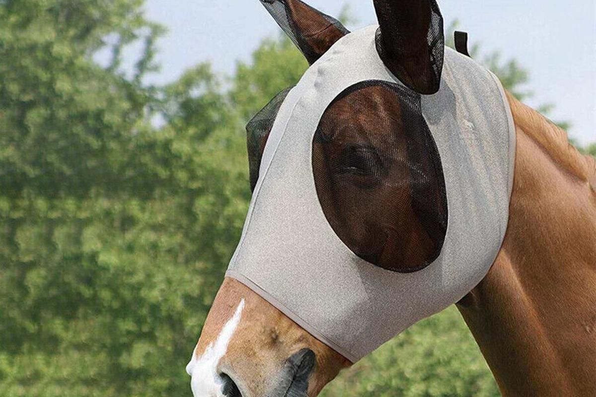Horse Fly Mask with Ears -Grey - Image 2