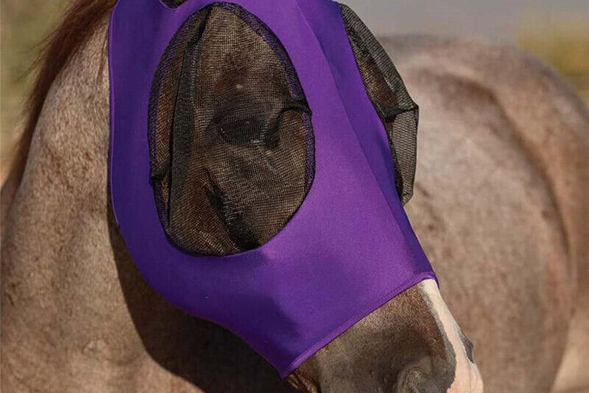 Horse Fly Mask with Ears -Purple - Image 2