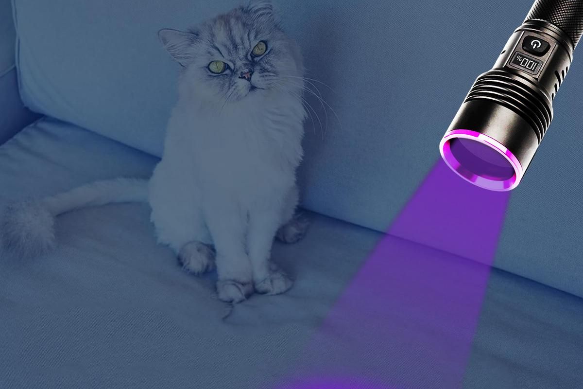 365nm Black Light UV Flashlight With LCD Display Rechargeable Torch Lamp - Image 2