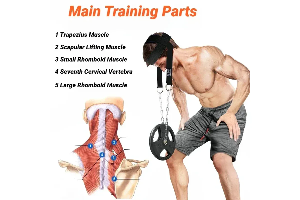 Head Neck Training Harness Exercise Cervical Spine Strap Adjustable Gym Fitness Weight Bearing Device - Blue - Image 4