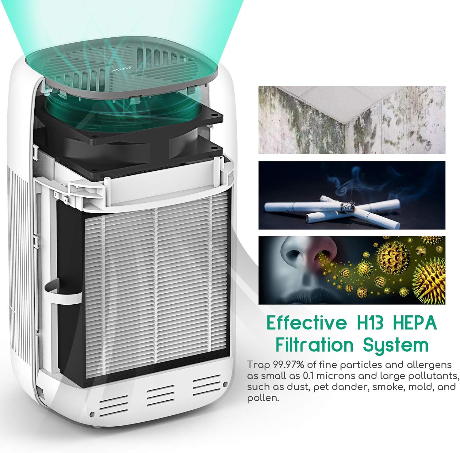 Air Purifier Dehumidifier Q10 HEPA Filter - Image 2