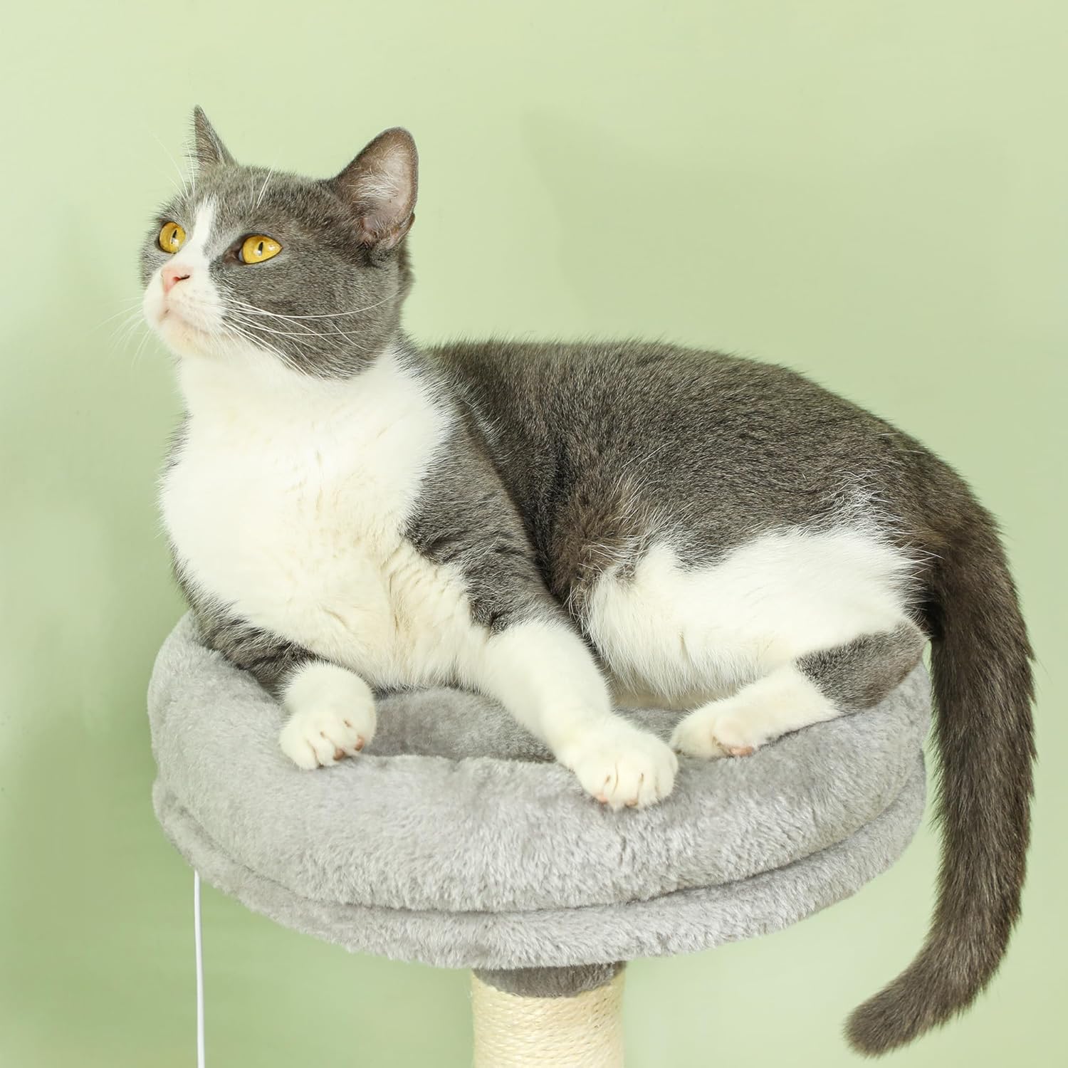CARLA HOME Large Cat Tree Tower for Indoor Cats with Plush Perch, Cat Condo, Natural Sisal Scratching Posts, Hanging Ball & Paw Scratcher - Image 5