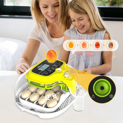 Automatic Egg Incubator 16-30 Eggs Chicken Duck Poultry Hatcher Breeder Candler - Image 1