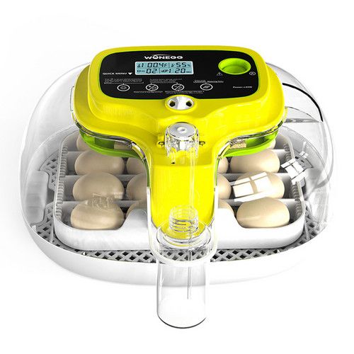 Automatic Egg Incubator 16-30 Eggs Chicken Duck Poultry Hatcher Breeder Candler - Image 2