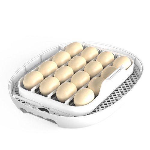 Automatic Egg Incubator 16-30 Eggs Chicken Duck Poultry Hatcher Breeder Candler - Image 3