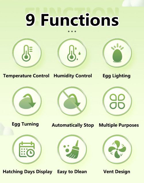 Automatic Egg Incubator 16-30 Eggs Chicken Duck Poultry Hatcher Breeder Candler - Image 6