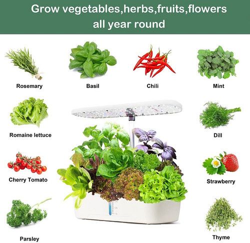 Hydroponics Plant Growing System 12 Pods Indoor Herb Garden Kit Led Light 4L WHITE - Image 2