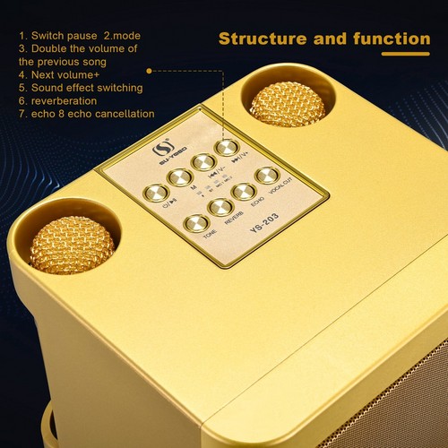 Gold Karaoke Machine with 2 Wireless Microphones Bluetooth-Compatible 5.0 for Parties - Image 4