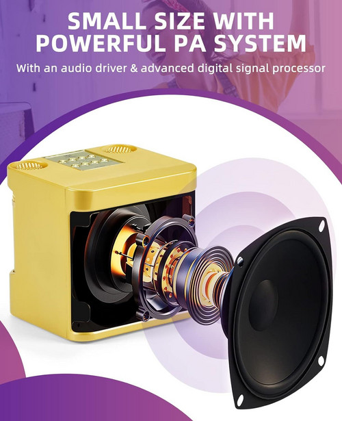 Gold Karaoke Machine with 2 Wireless Microphones Bluetooth-Compatible 5.0 for Parties - Image 6