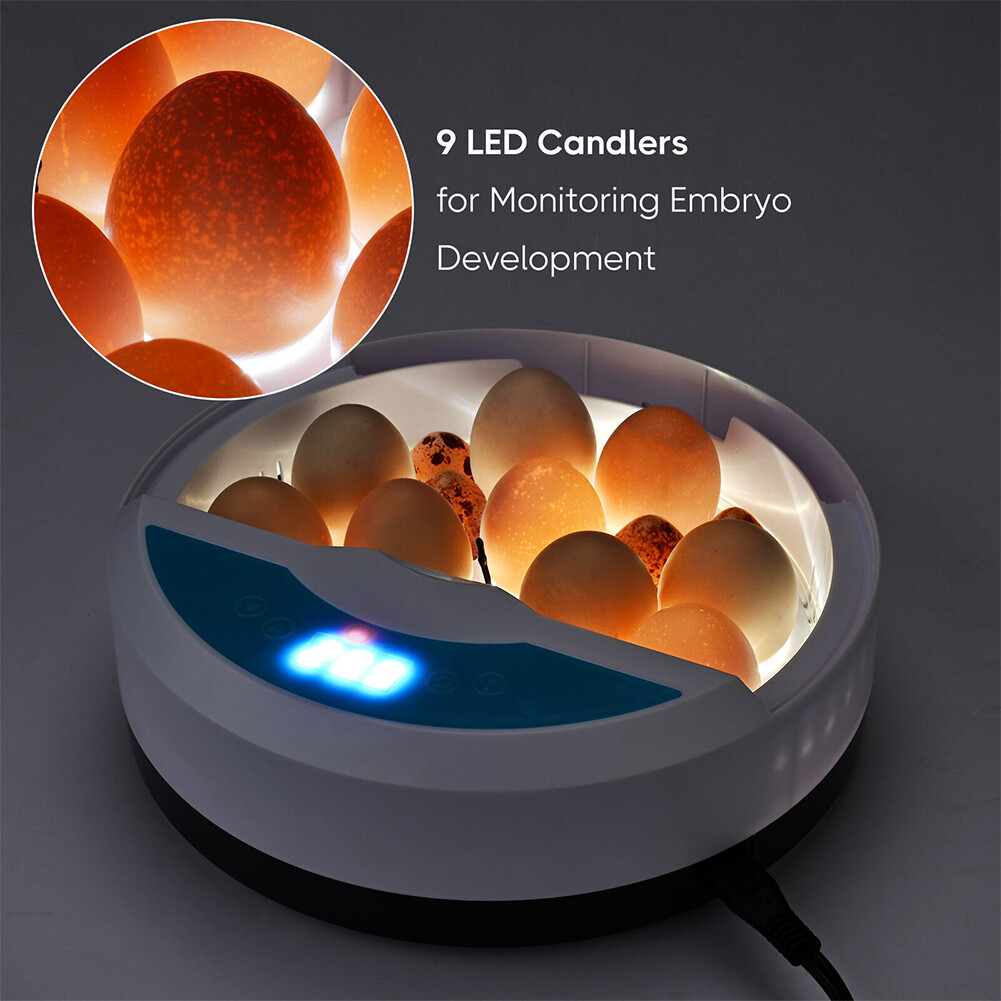 9 Egg Incubator Semi-Automatic Digital Temperature Chicken Duck Eggs Poultry - Image 3