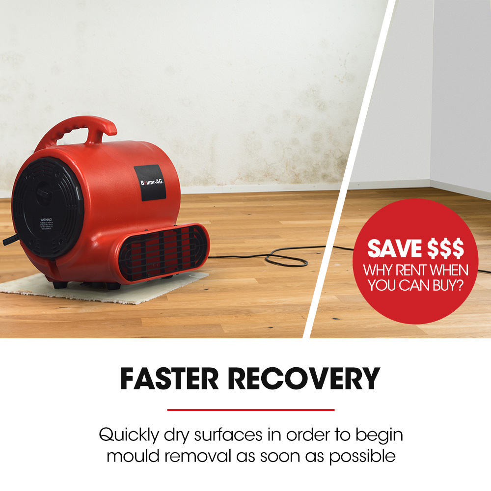 Baumr-AG 3-Speed Carpet Dryer Air Mover Blower Fan, 700CFM, Sealed Copper Motor, Poly Housing - Image 7