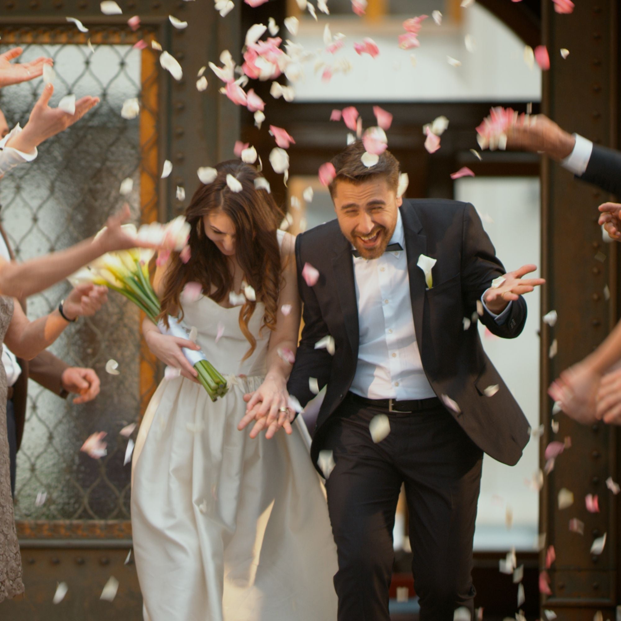 2Kg Bulk Organic Dried Red Rose Petals - Wedding Confetti Rosa Centifolia Flower - Image 3