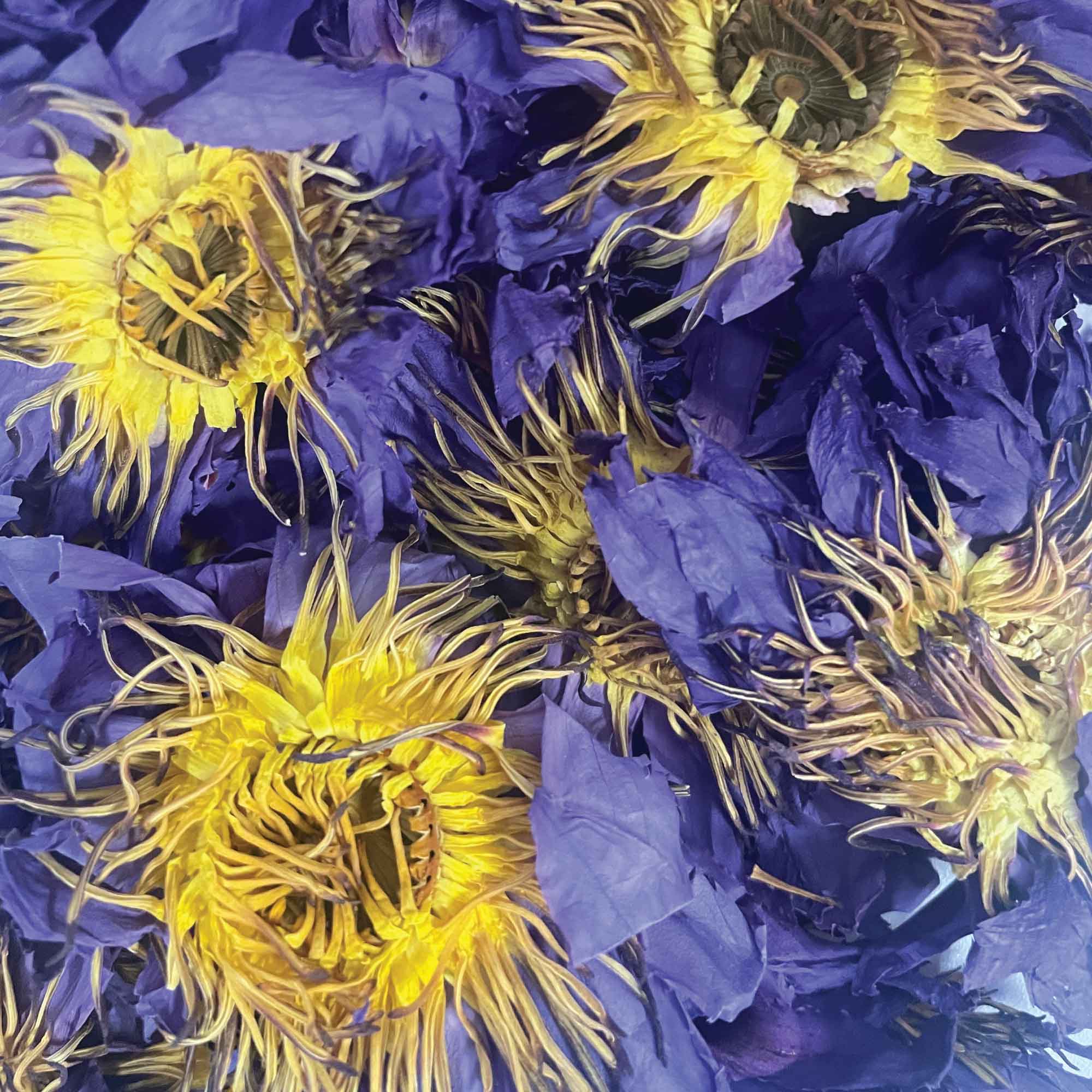 Orku 500g Dried Blue Lotus Flowers - Whole Open Lily Nymphaea Caerulea - Image 3