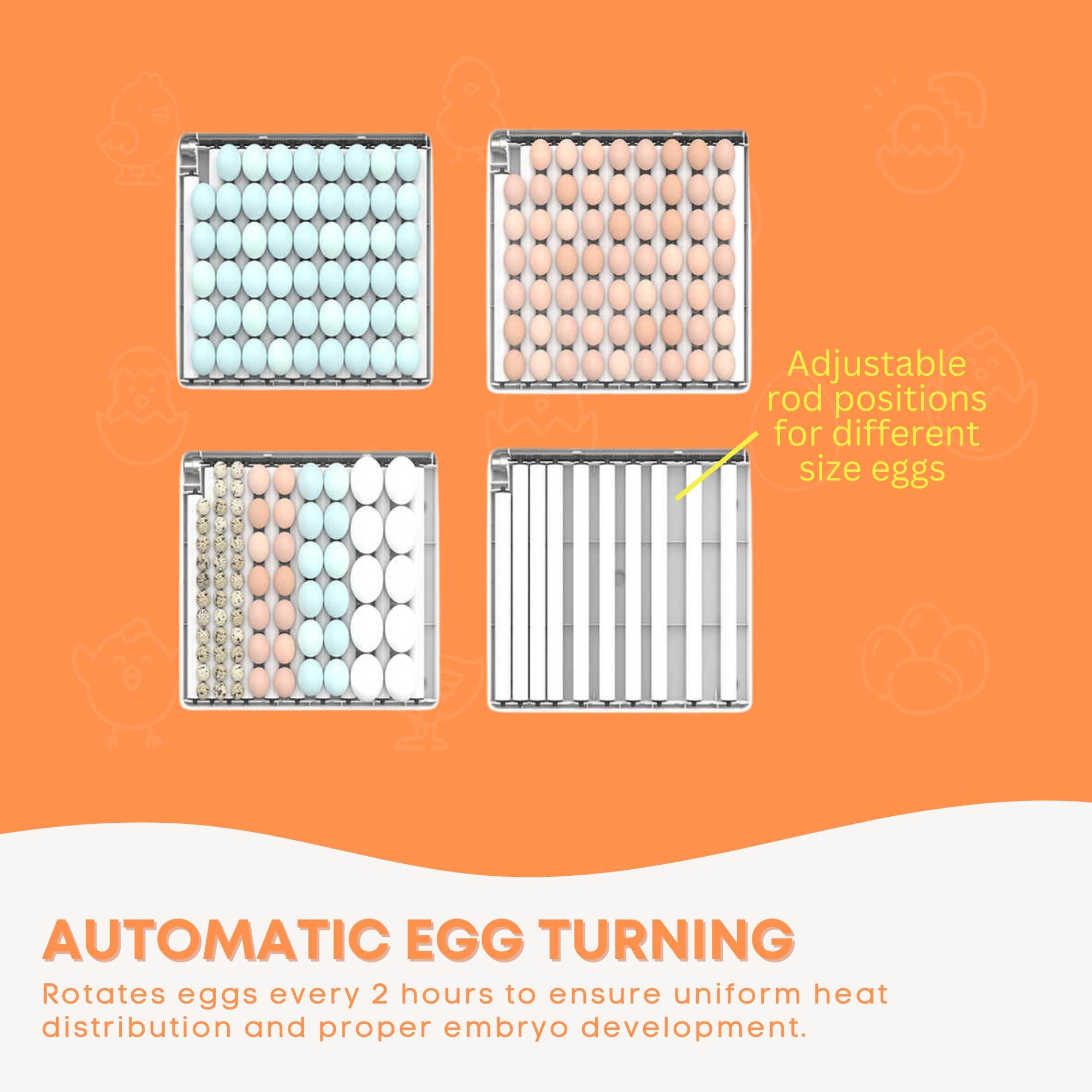 Automatic 130 Egg Incubator - Electric Digital Turning Chicken Quail Duck Hatching - Image 5