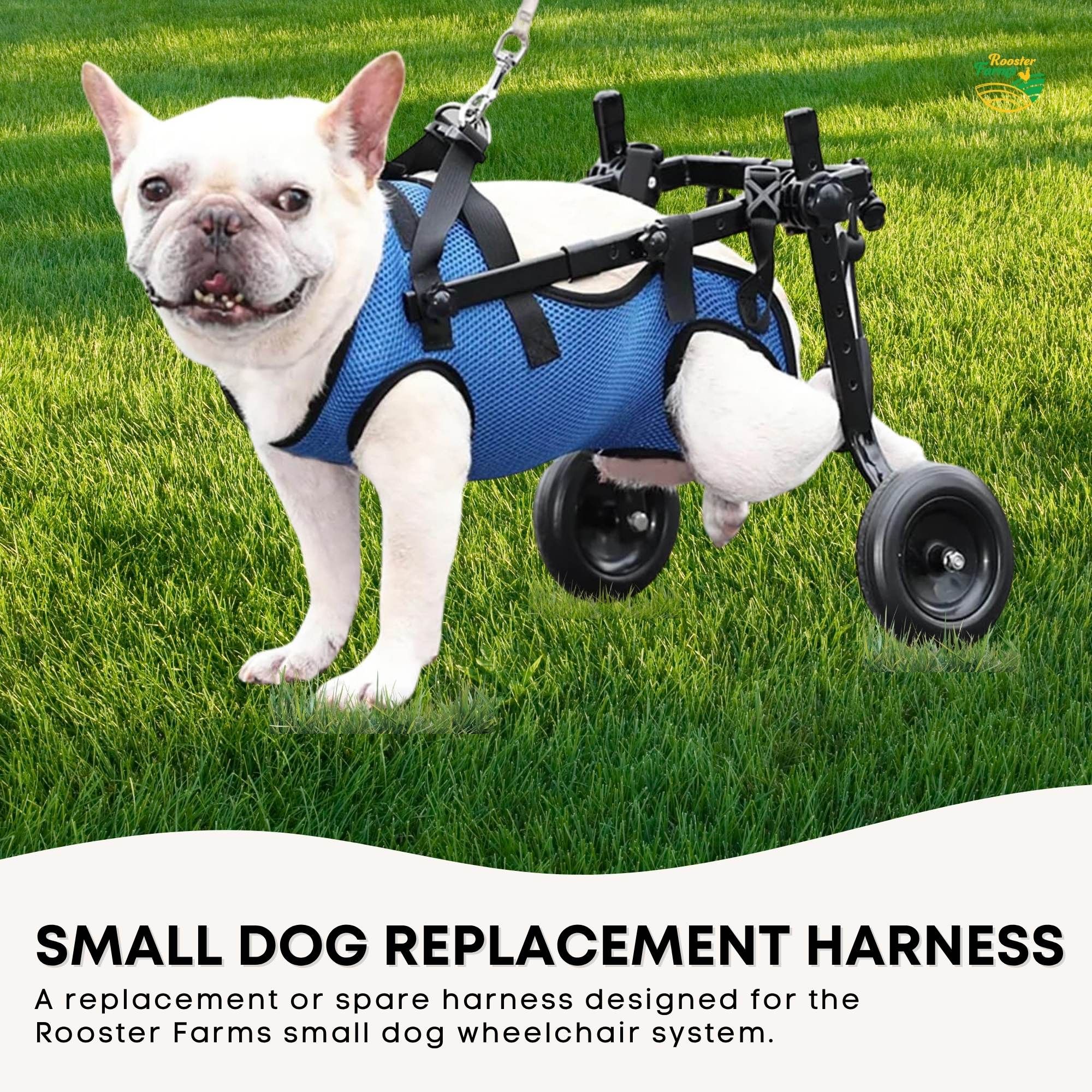 Rooster Farms Replacement Harness for Dog Wheelchair M - Little Dogs Up to 10Kg - Image 2