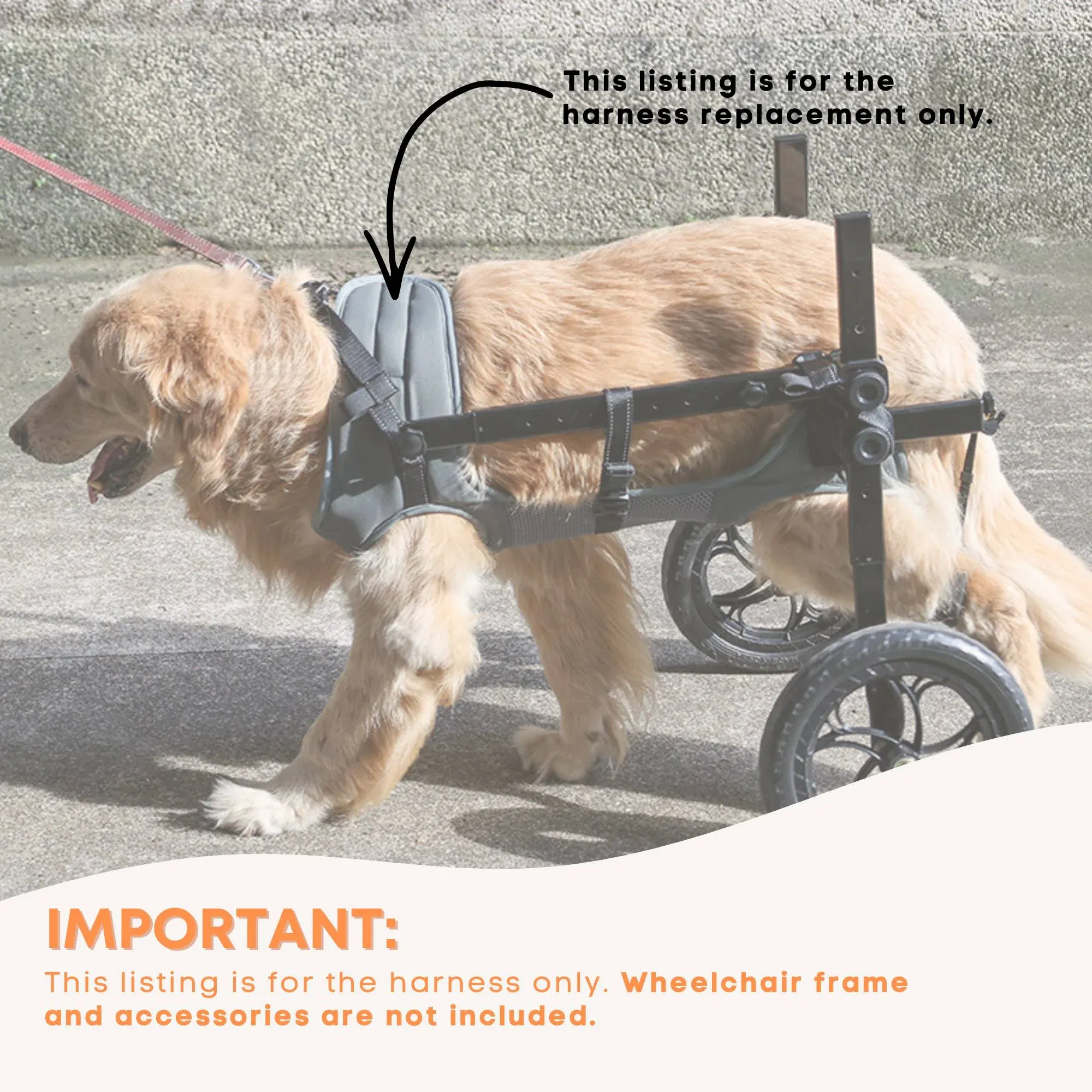 Rooster Farms Replacement Harness for Dog Wheelchair XL - Large Dogs Up to 45Kg - Image 4