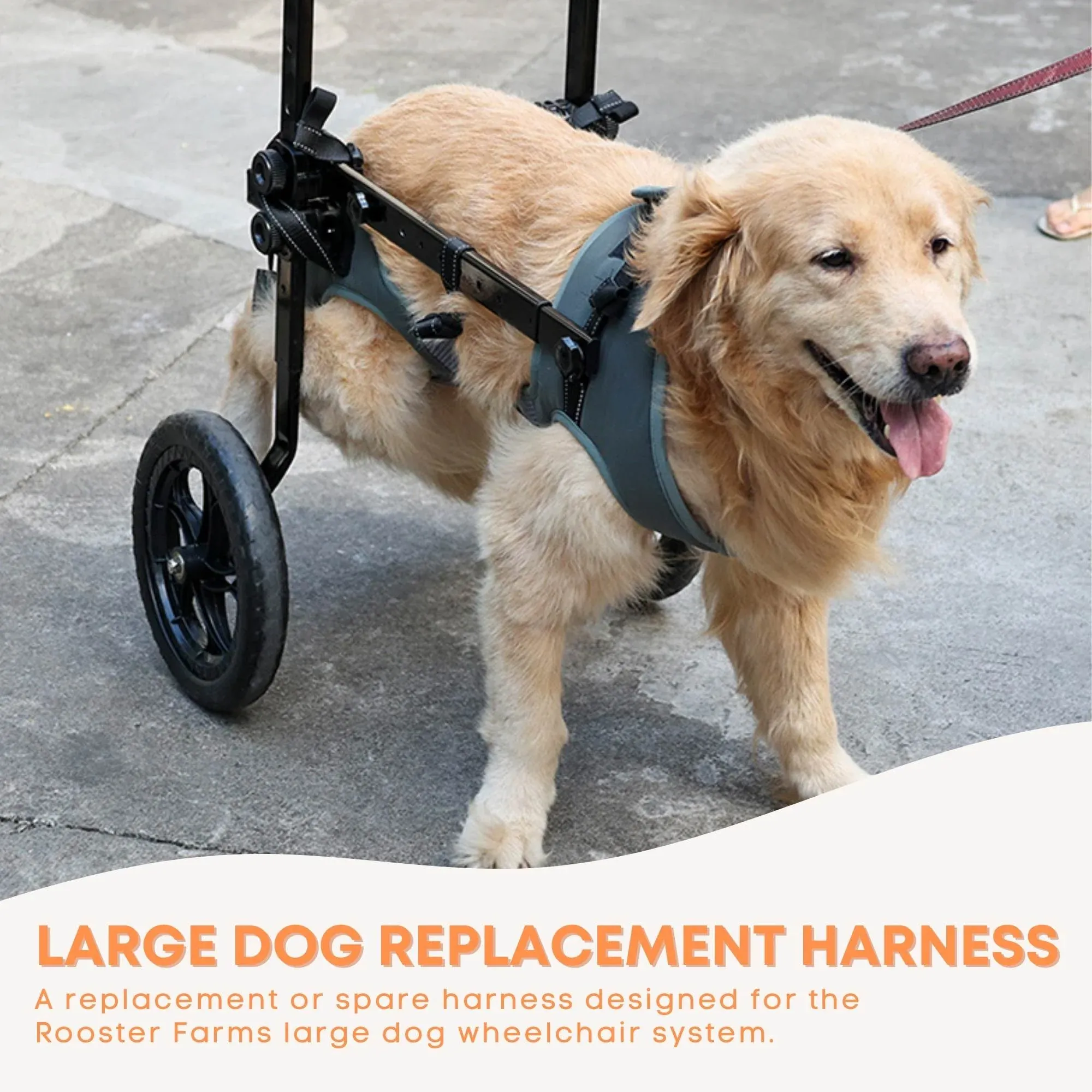 Rooster Farms Replacement Harness for Dog Wheelchair XXL - Large Dogs Up to 45Kg - Image 2