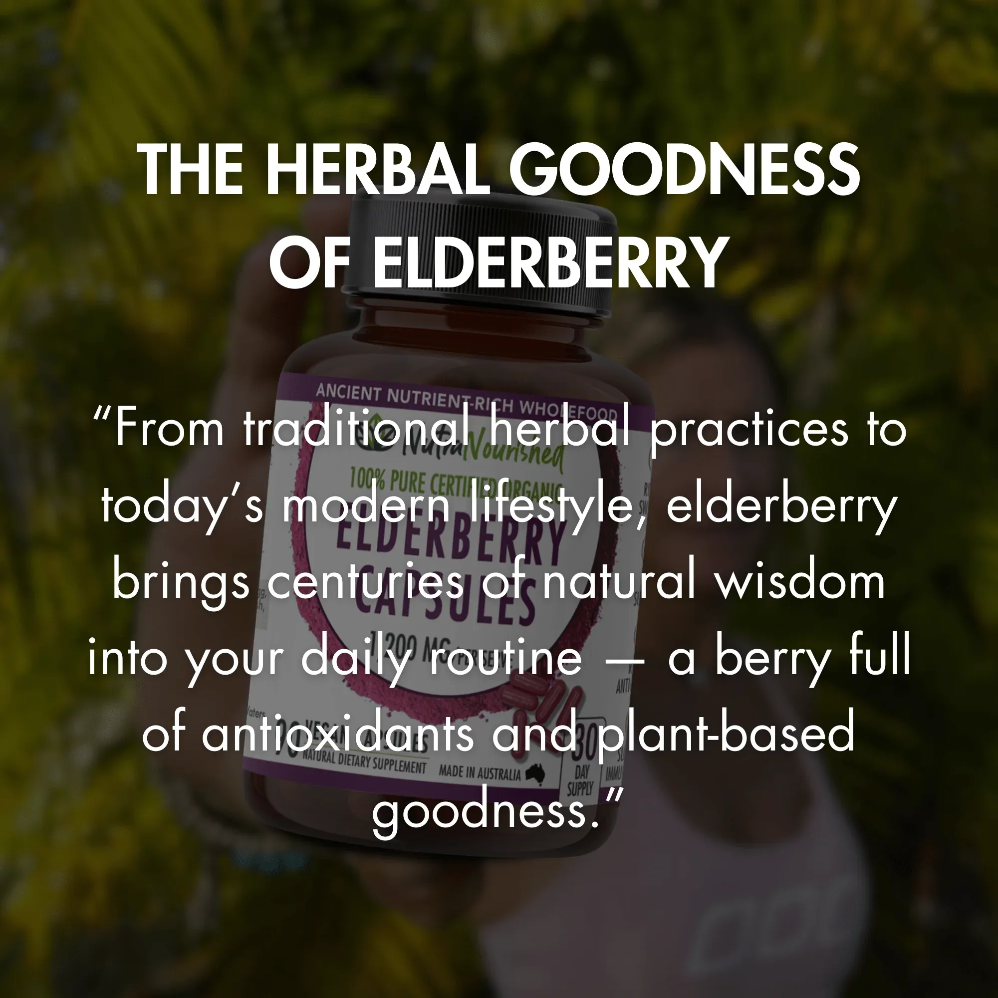 Organic Elderberry Capsules - Image 6