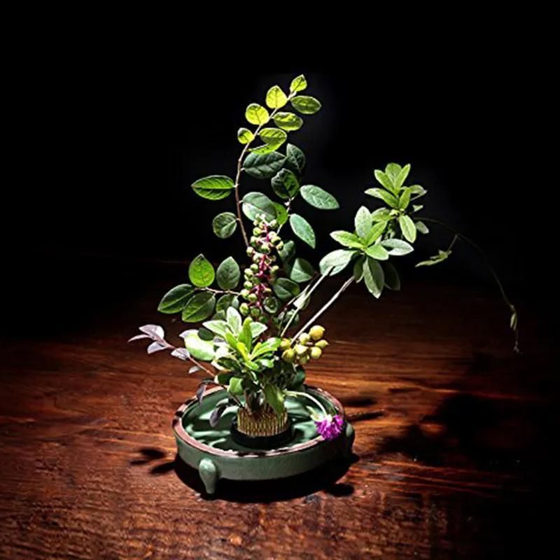 Round Flower Base Holder Spiky Frog Fixed Tool Floral Arrange For Ikebana Kenzan - Image 3