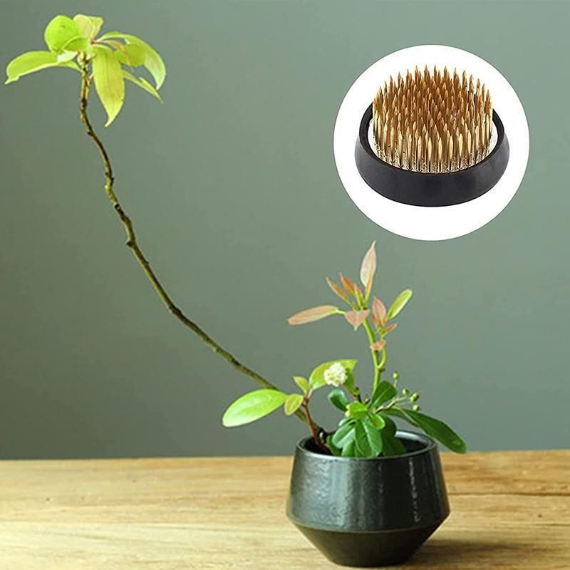 Round Flower Base Holder Spiky Frog Fixed Tool Floral Arrange For Ikebana Kenzan - Image 8