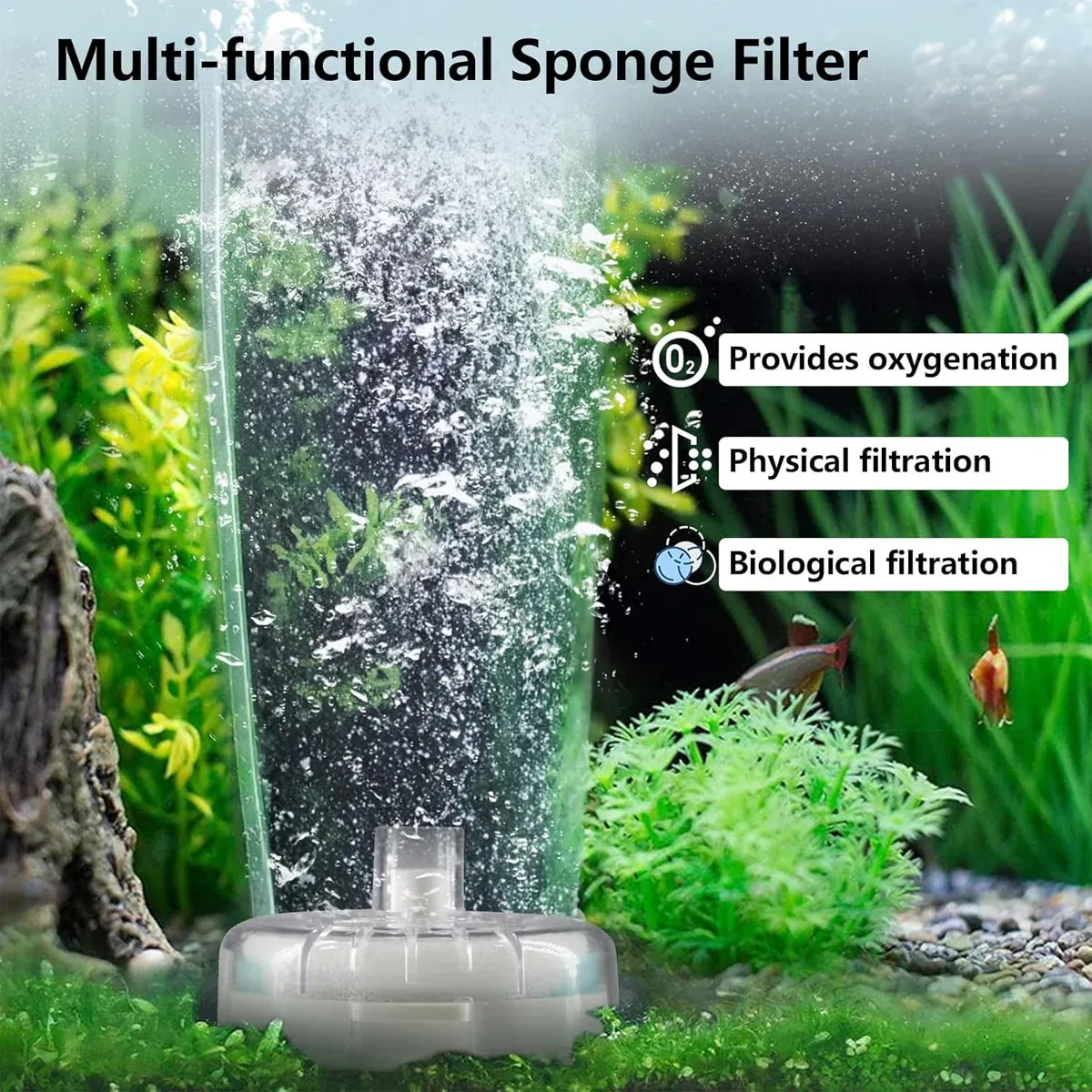 Aquarium Filter Special Mini Small Tank Filter Circle for Freshwater or Marine - 8cm Filter - Image 5