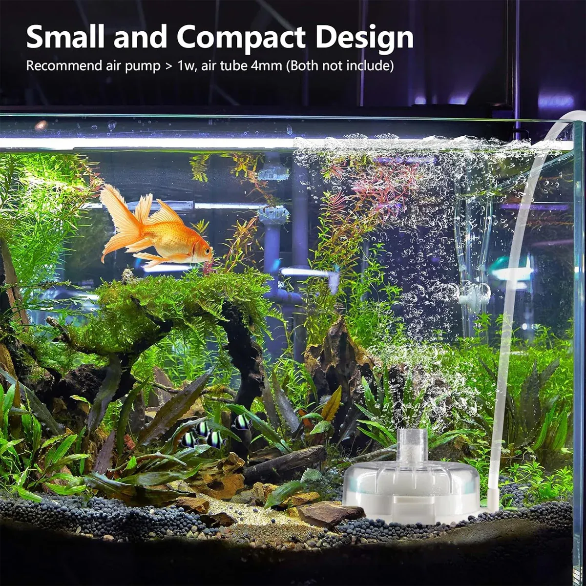 Aquarium Filter Special Mini Small Tank Filter Circle for Freshwater or Marine - 8cm Filter - Image 7