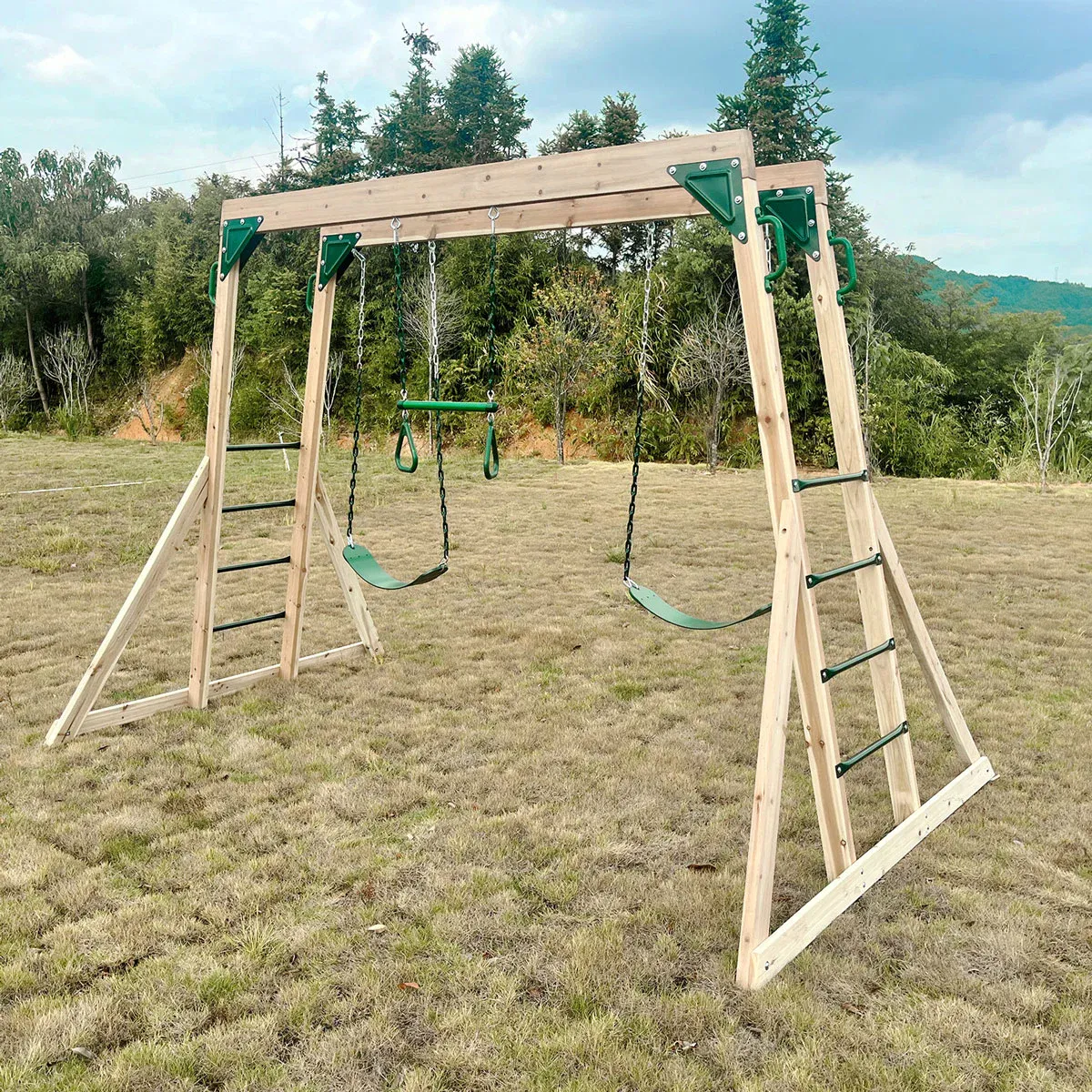 Lifespan Kids Daintree 2-in-1 Monkey Bars & Swing Set - Image 5