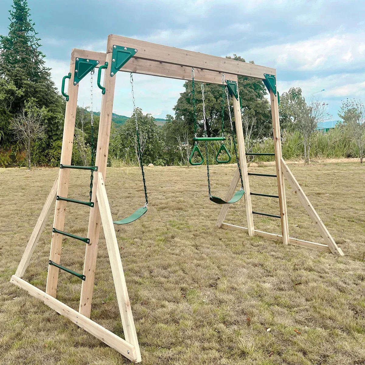 Lifespan Kids Daintree 2-in-1 Monkey Bars & Swing Set - Image 6