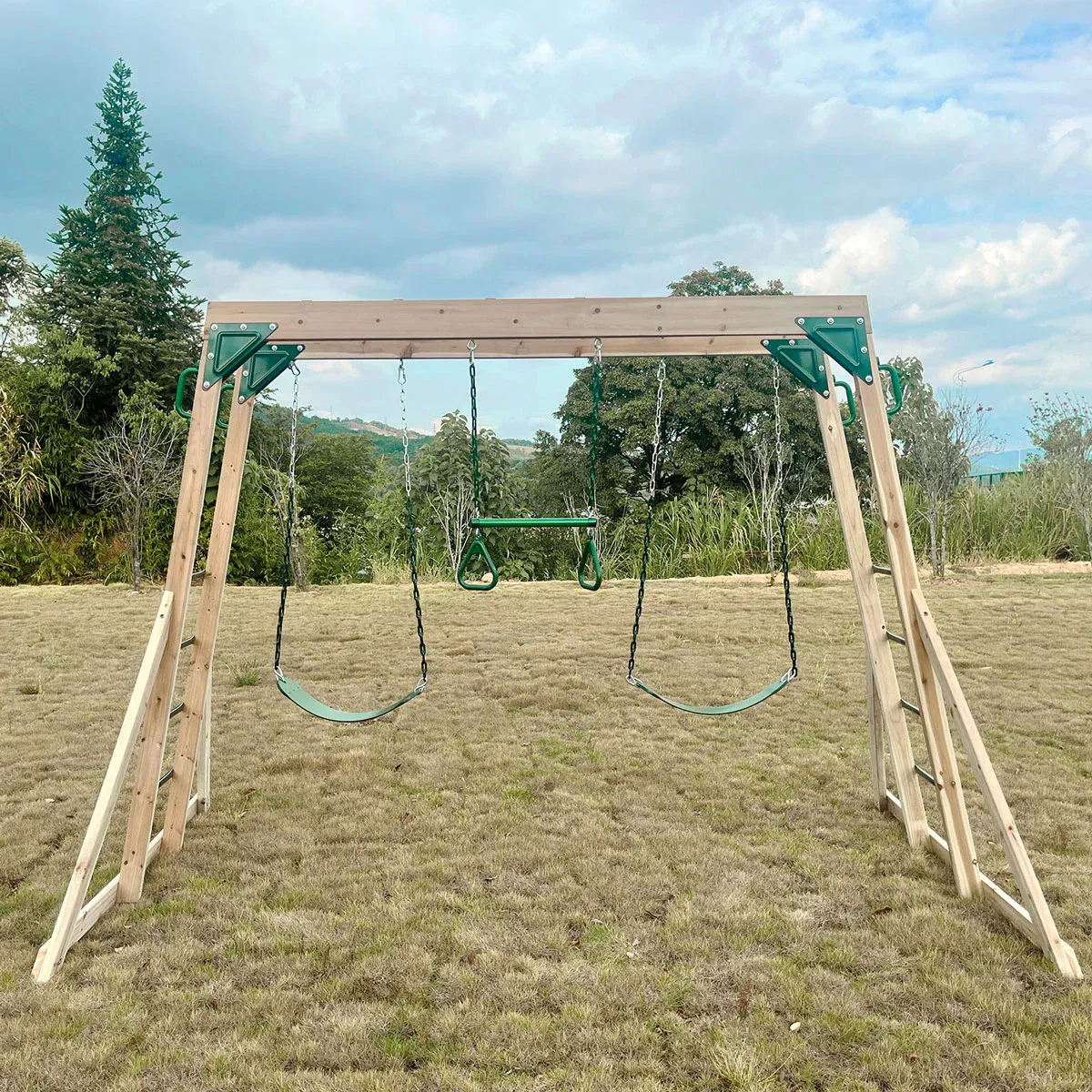Lifespan Kids Daintree 2-in-1 Monkey Bars & Swing Set - Image 7