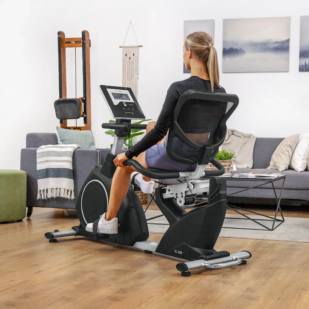 Lifespan Fitness RC-300 Recumbent Bike - Image 3