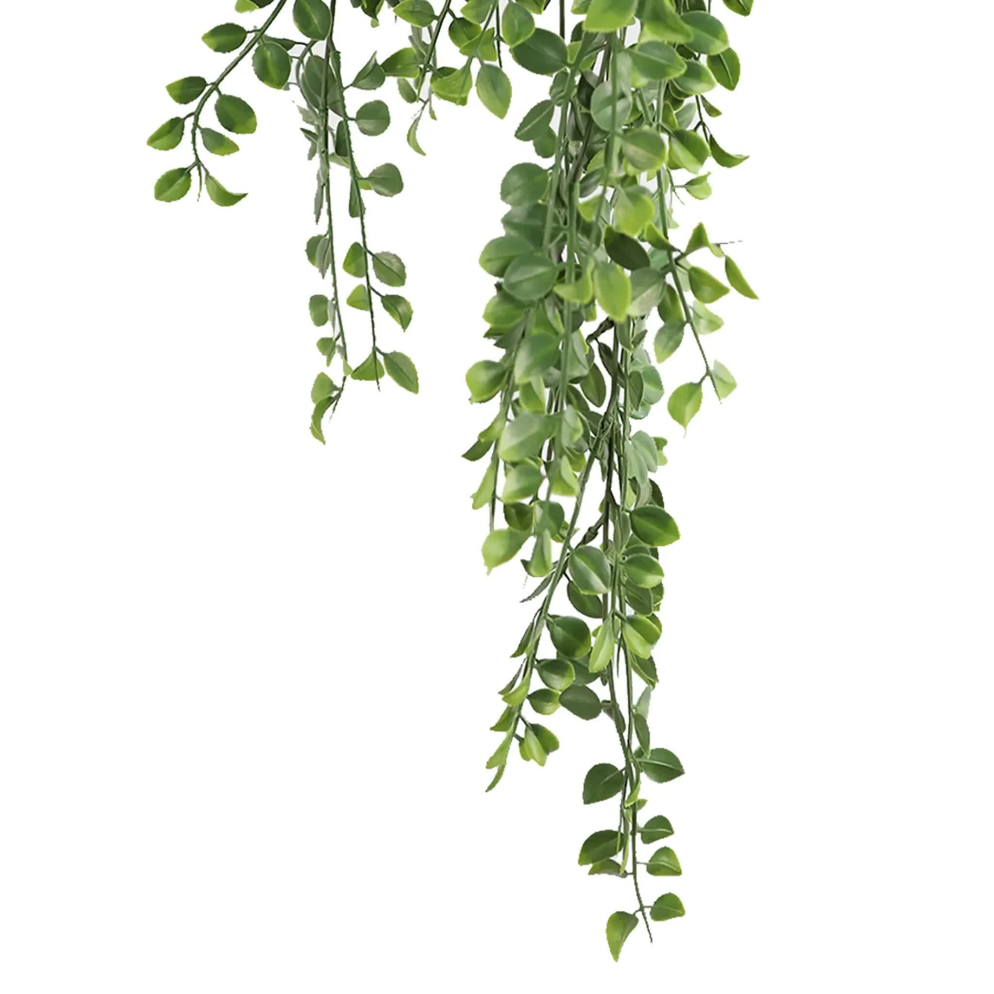 Artificial Hanging Dark Green Hanging Pearls Garland Bush UV Resistant and Fire Rated 20cm x 79cm - Image 4