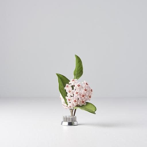 Kenzan Ikebana Pin Base - Image 1
