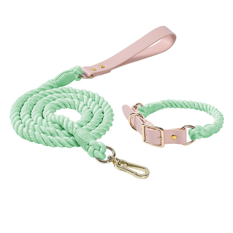 Mint green Hand-Woven Rainbow Cotton Rope Dog Leash and Collar Set - Adjustable Veg-Tanned Leather Trim with Heavy Duty Metal Hardware - 150cm Training Lead and M Size Collar - Image 1