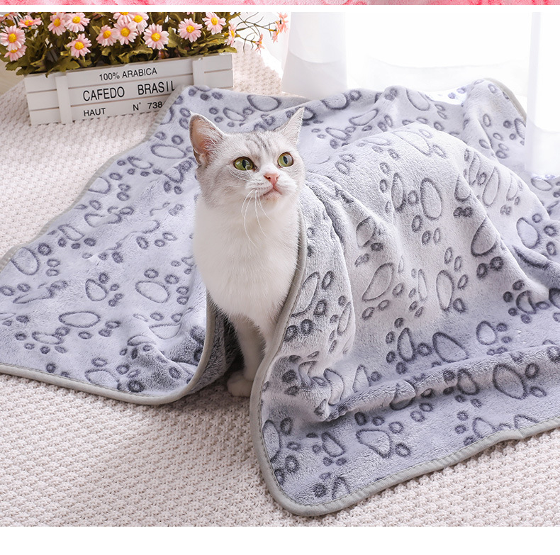 Green Pet Blanket Set – Plush Paw Print Design, 3-Piece Pack (S/M/L Sizes) - Image 2