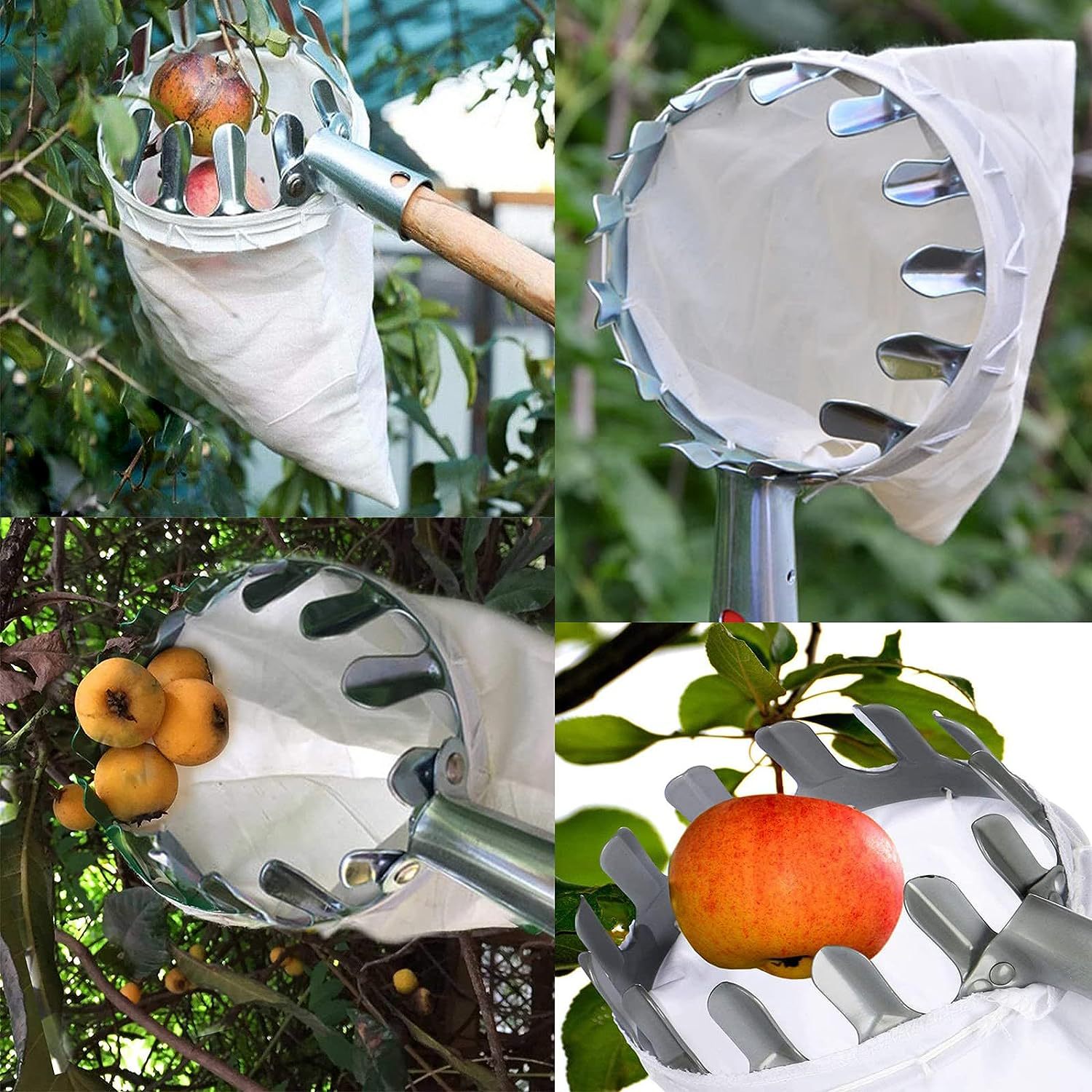 Green Telescopic Fruit Picker Tool with Stainless Steel Extension Pole Carbon Steel Head and Large Bag for Apples Peaches Oranges Australian Home Orchards(2.0m) - Image 3