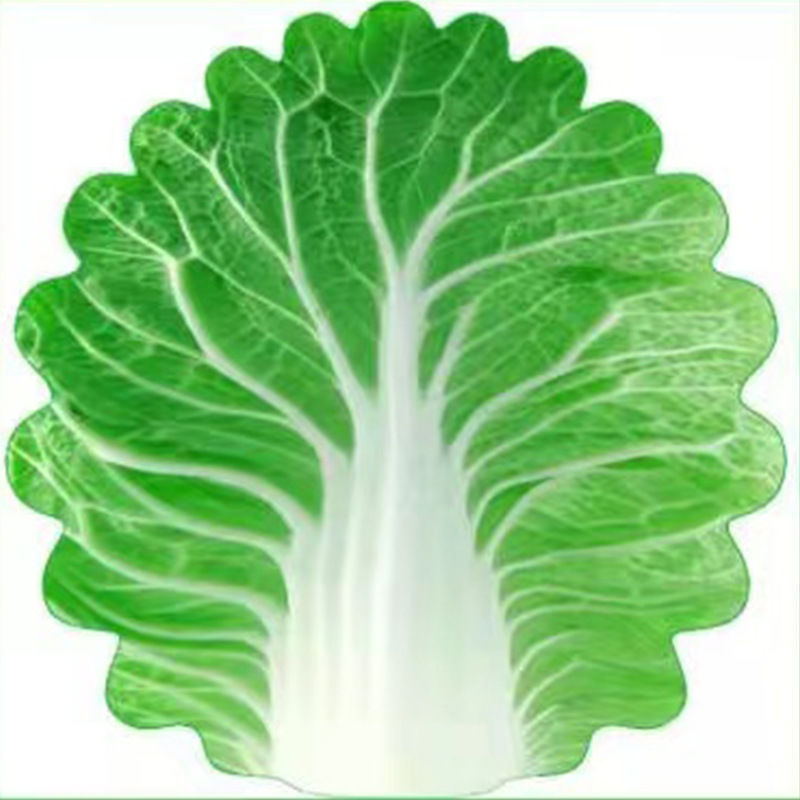 Cute Cabbage-Shaped Fleece Blanket – Fun and Cozy Throw for Naps, Office Use, Air Conditioning, or Baby Swaddling (Green & White)(100cm*100cm) - Image 1