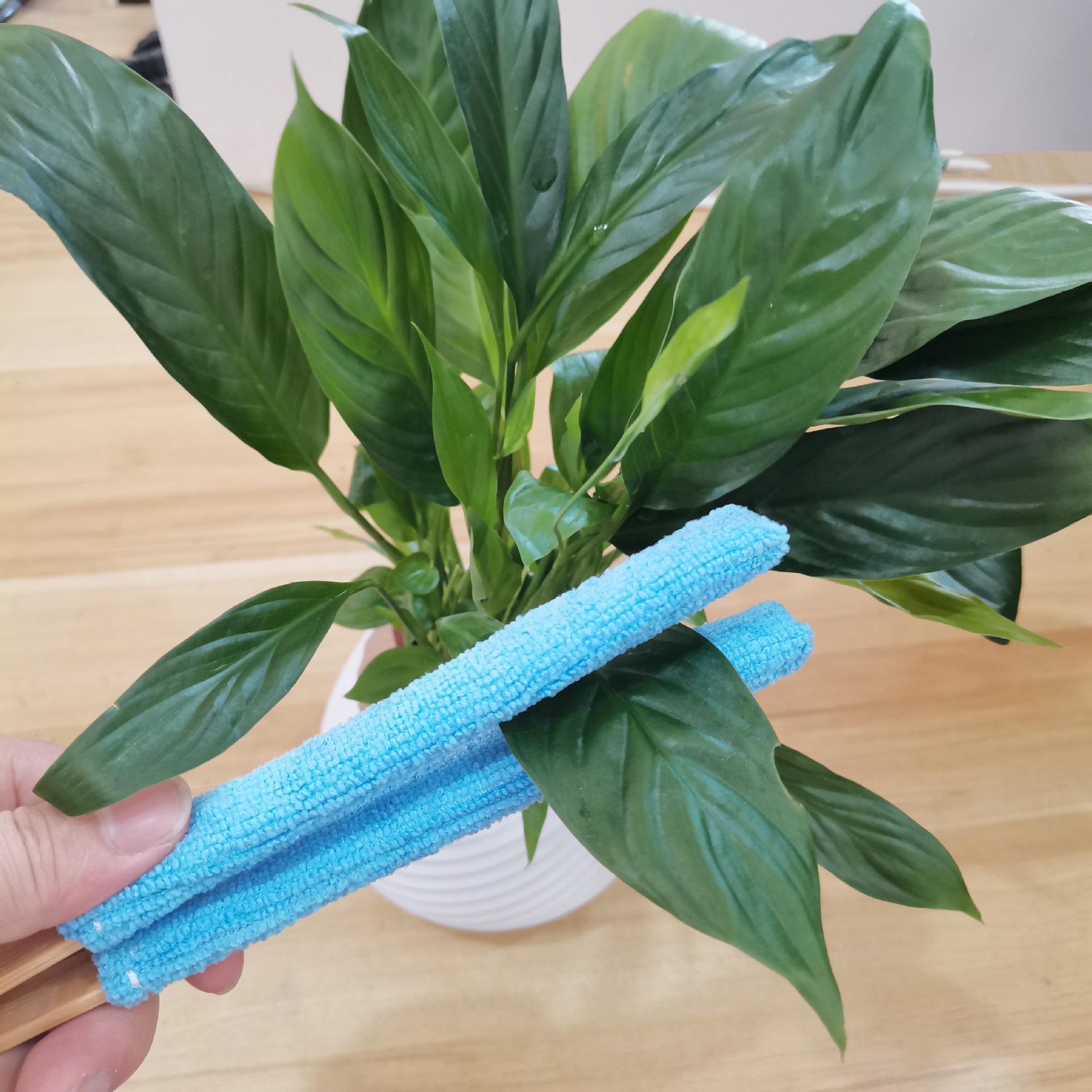 Orange 3 Pack Microfiber Plant Leaf Cleaning Tongs with Removable Sleeves and Natural Bamboo Handles for Houseplants Maintenance - Image 4