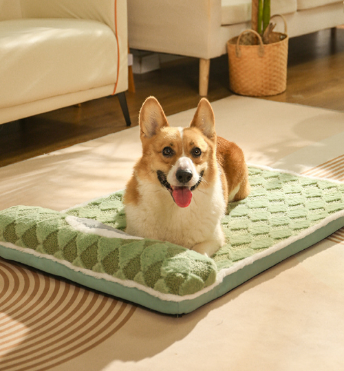 Thickened Soft Pet Bed Mat M Size Light Green Comfortable Dog Sleeping Pad Washable Cushion for Medium Dogs and Cats All Season Home Decor - Image 1