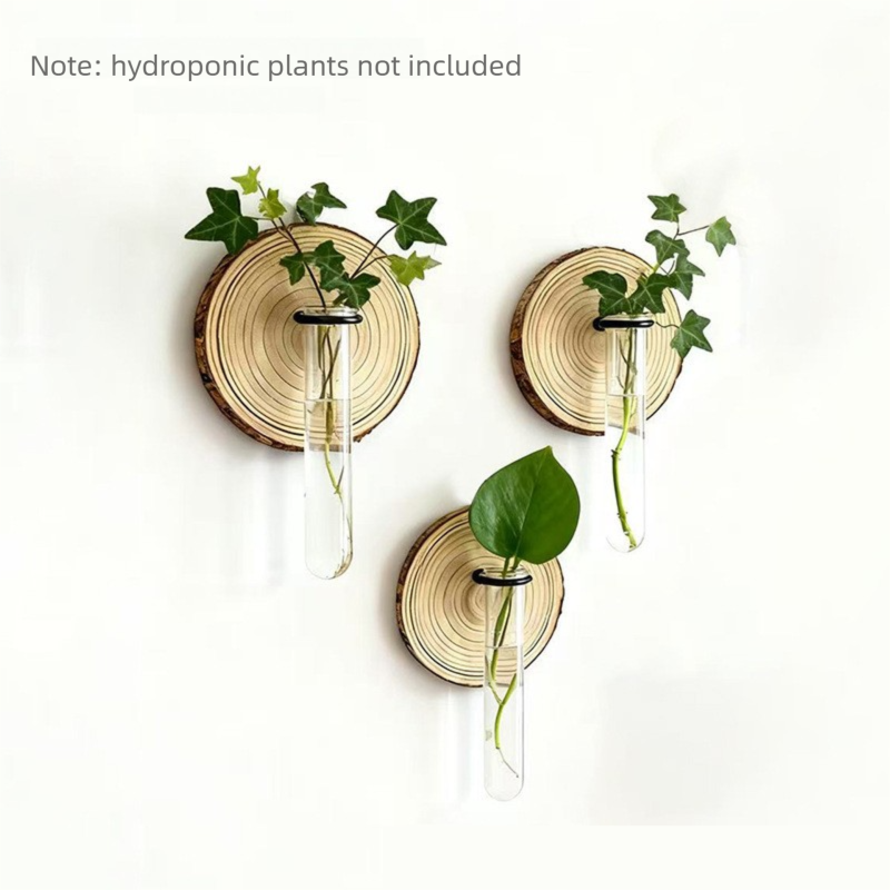 3-Pack Wall-Mounted Hydroponic Plant Test TubeFlower Pot for Indoor Plants & Cuttings - Image 1