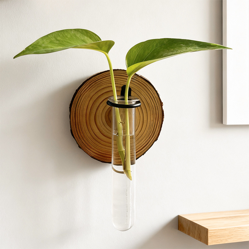 3-Pack Wall-Mounted Hydroponic Plant Test TubeFlower Pot for Indoor Plants & Cuttings - Image 2