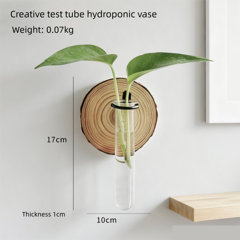 3-Pack Wall-Mounted Hydroponic Plant Test TubeFlower Pot for Indoor Plants & Cuttings - Image 3