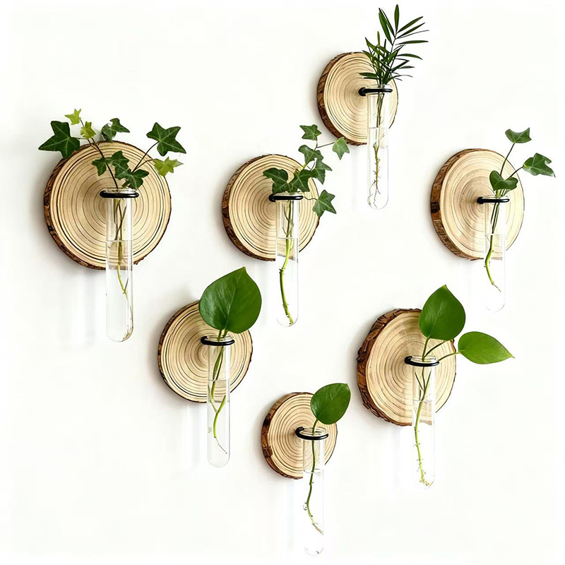 6-Pack Wall-Mounted Hydroponic Plant Test TubeFlower Pot for Indoor Plants & Cuttings - Image 1