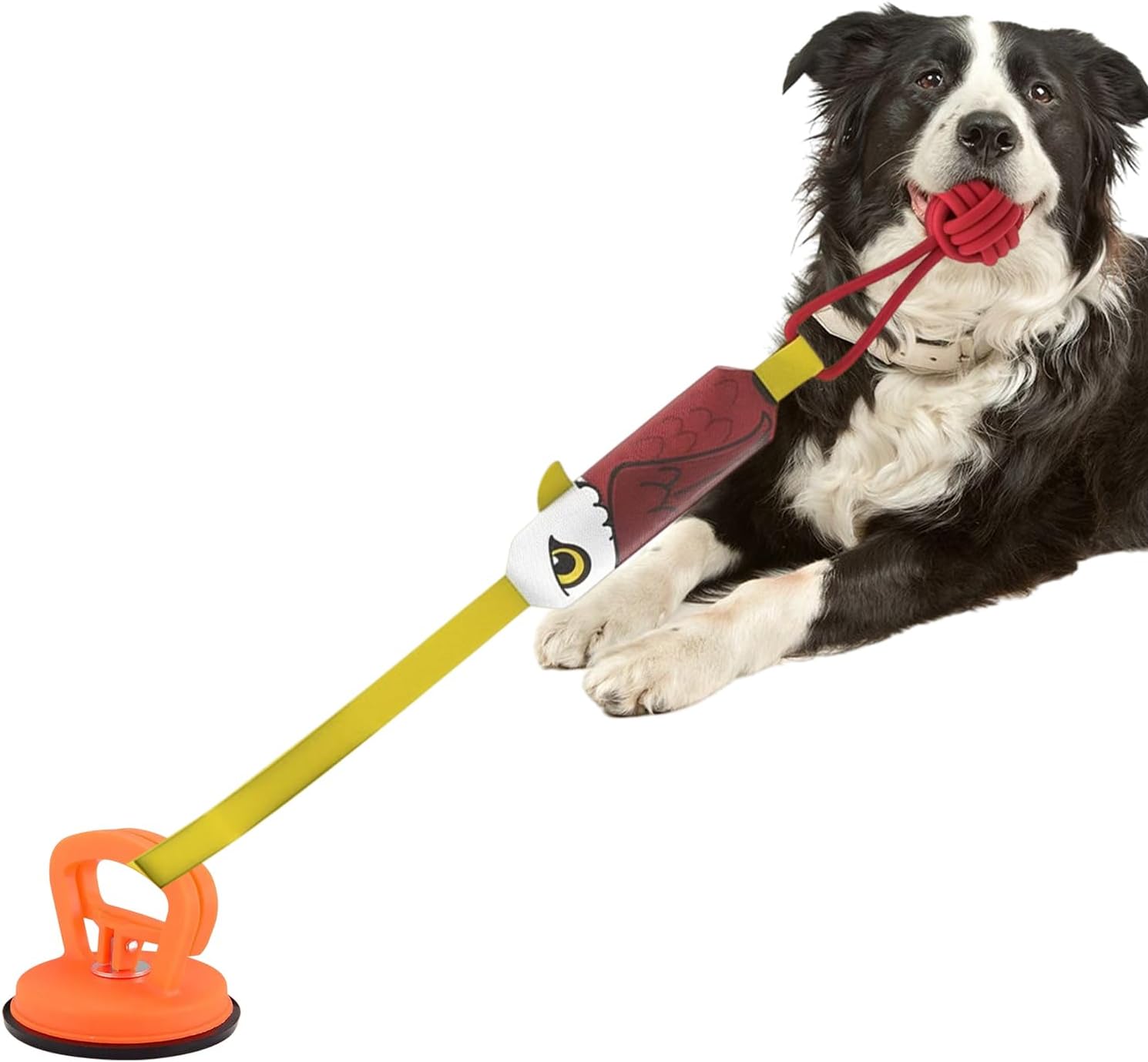 Eagle-shaped Tug-of-War Dog Toy with Suction Cup & Chew Rope Knot - Interactive Squeaky Molar Toy for Puppies & Small Dogs - Image 1