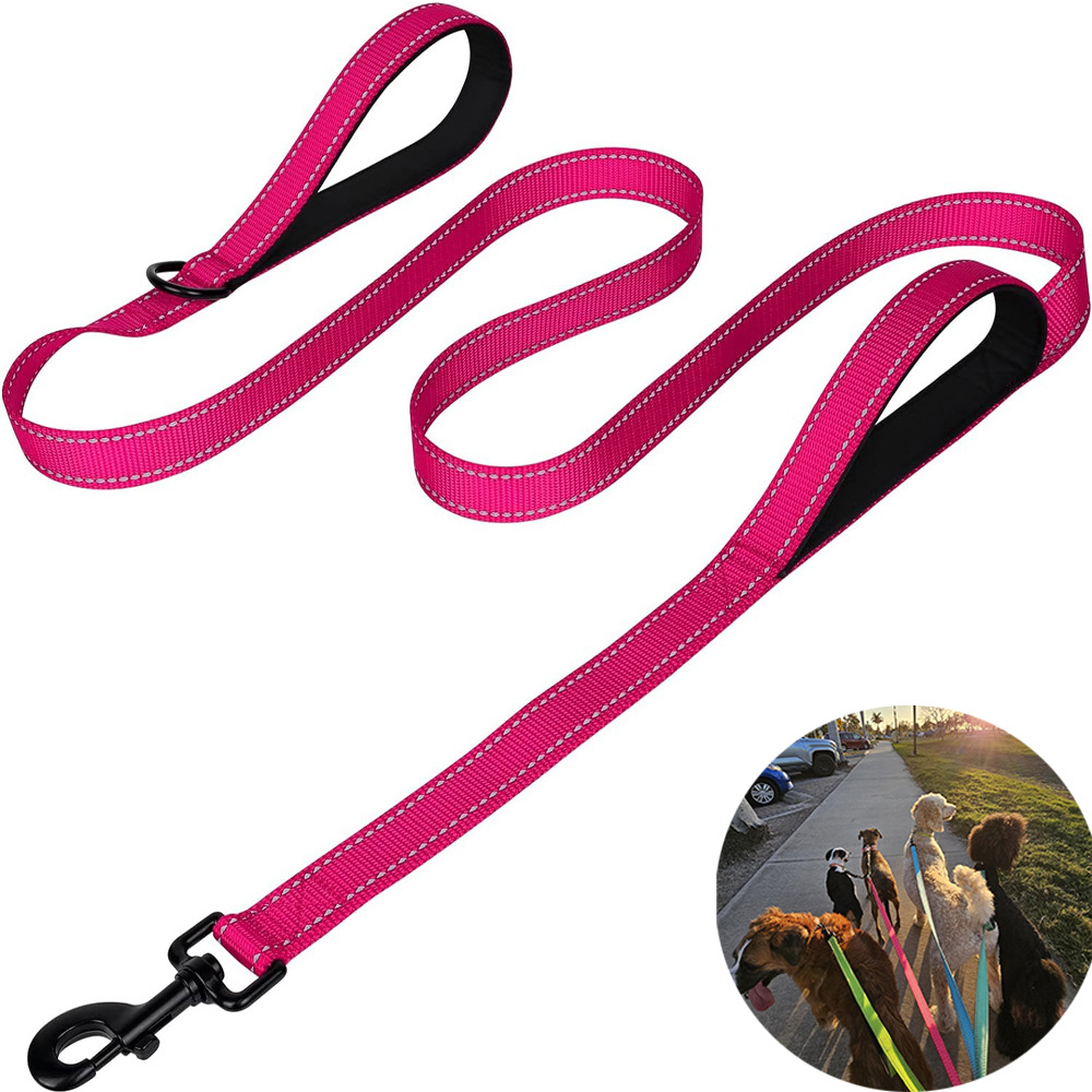 Rose Red 2.5 Meter Heavy Duty Reflective Dog Leash | Double Padded Traffic Handle | Anti-Chafe Tightly Woven Nylon for Large Dogs - Image 1