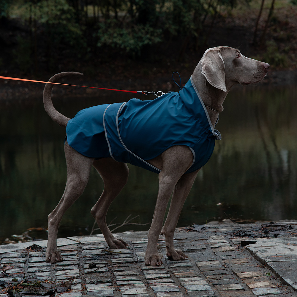 75# Blue Waterproof Reflective Dog Raincoat for Small to Large Dogs - Image 1